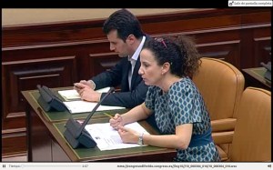 PILAR LUCIO Comision Defensa 18042013